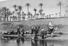 Viaggio in Oriente a Casa Martelli 1398 0 Viaggio in Oriente. Fotografie dall’Africa a Casa Martelli